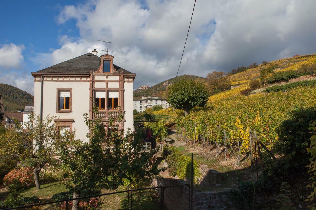 Gite Galerie Le 1892 Au Coeur Du Vignoble Ribeauvillé Exterior foto